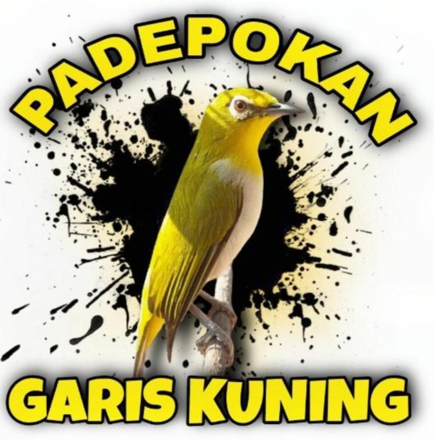 PGK ( Padepokan Garis Kuning) 